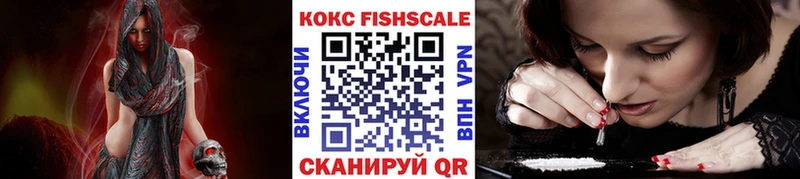 КОКАИН Fish Scale  OMG ONION  Кашин  магазин   
