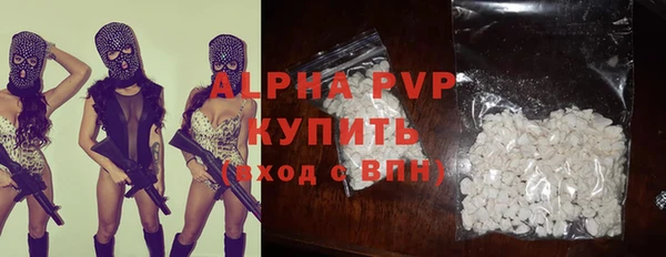 гашик Алексин
