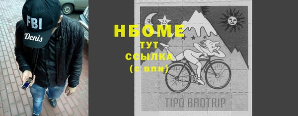 гашик Алексин
