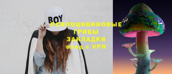гашик Алексин