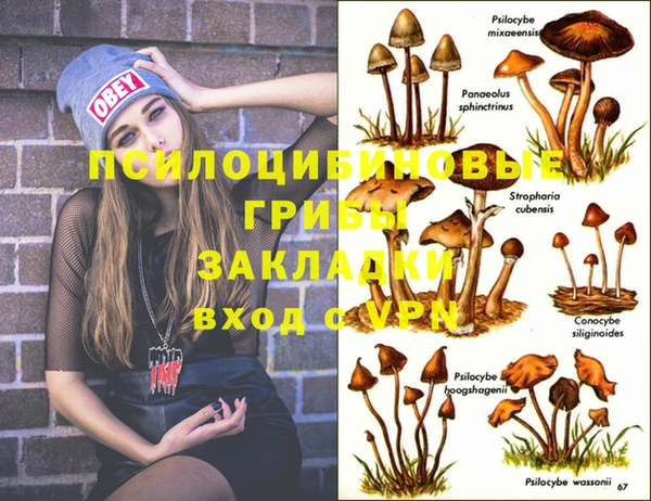 spice Алексеевка