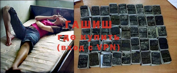 гашик Алексин