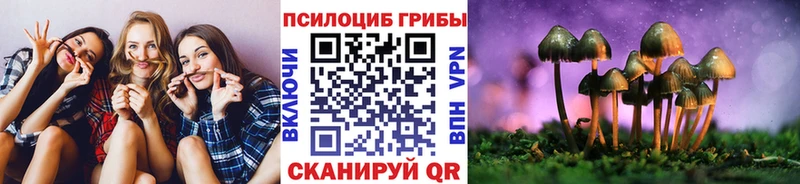 KRAKEN   Кашин  Псилоцибиновые грибы прущие грибы 